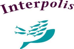 logo Interpolis